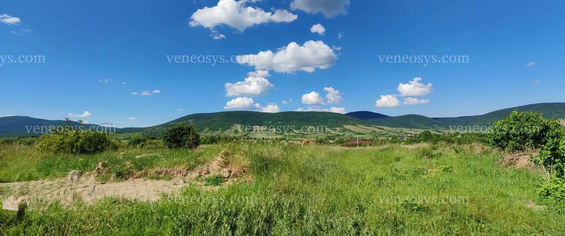 Kép 1