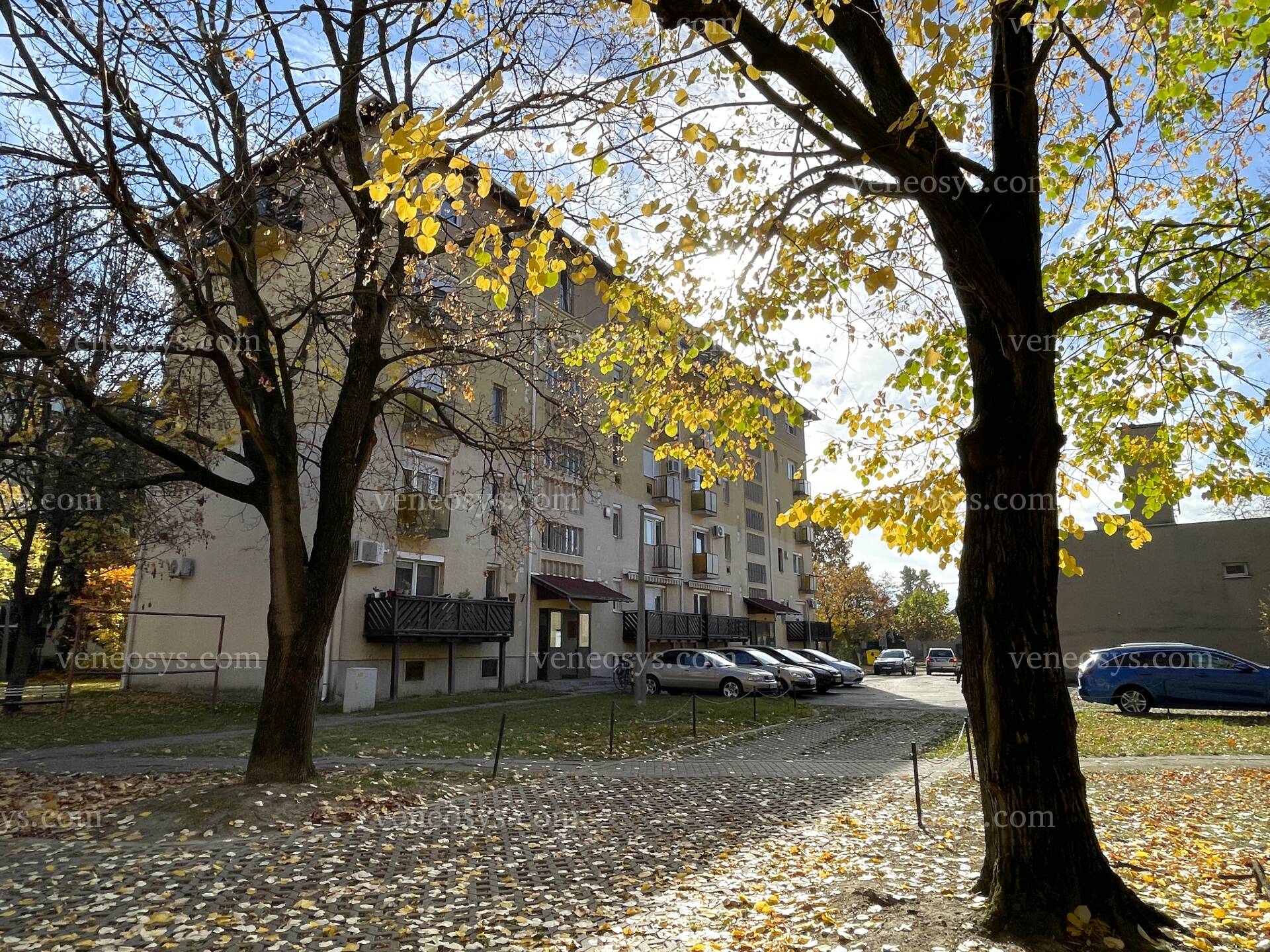 Kép 3