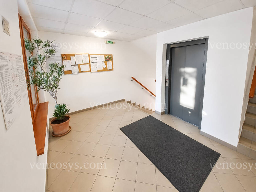 Kép 8