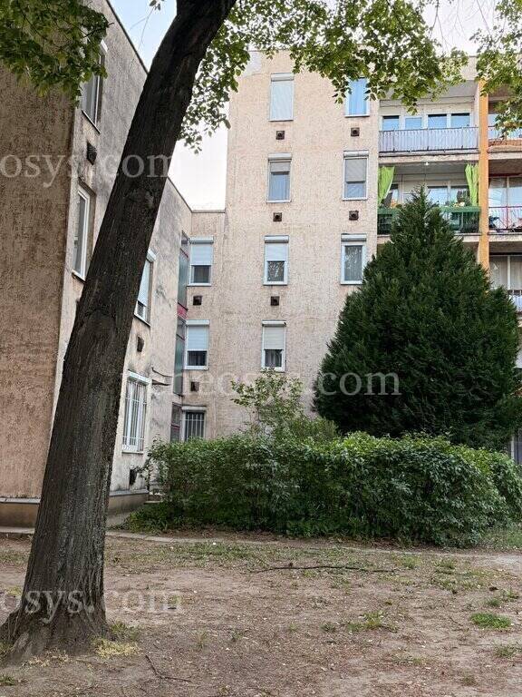 Kép 15
