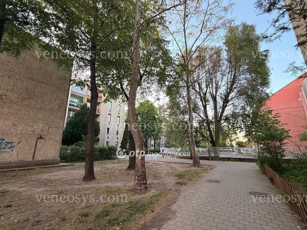 Kép 16