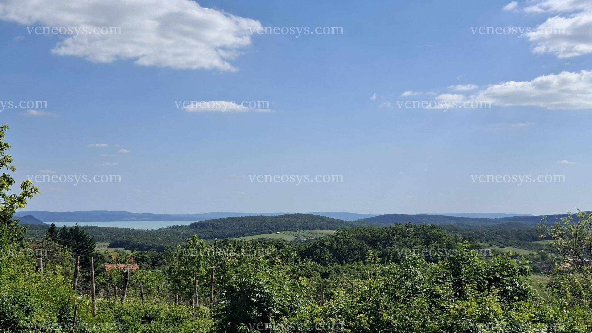 Balatonszőlős