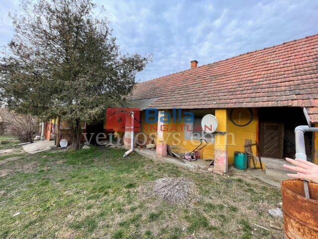 Kép 5