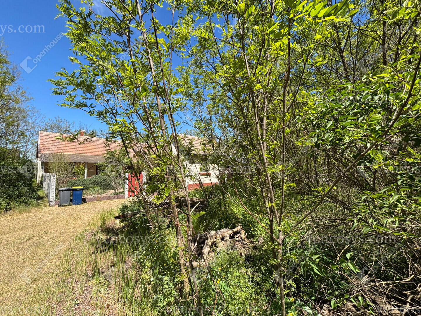 Kép 11