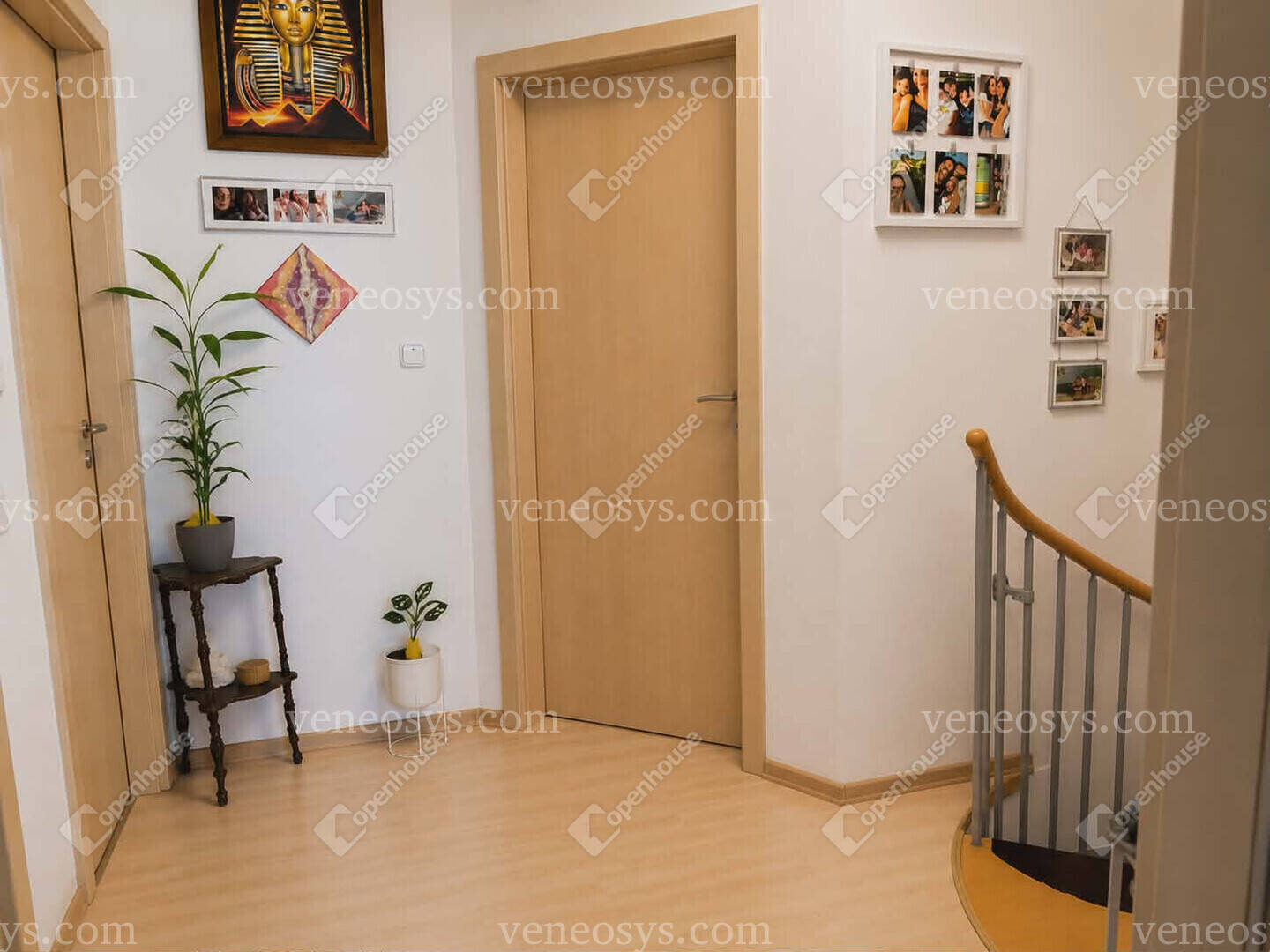 Kép 7