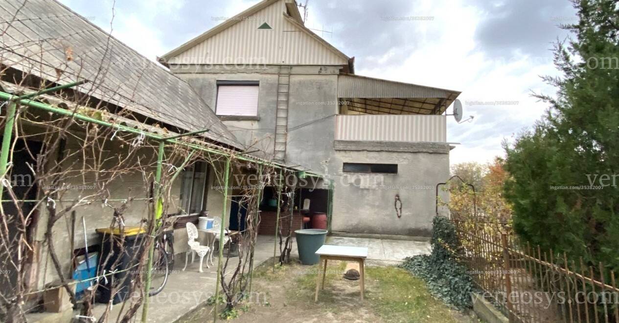 Kép 11