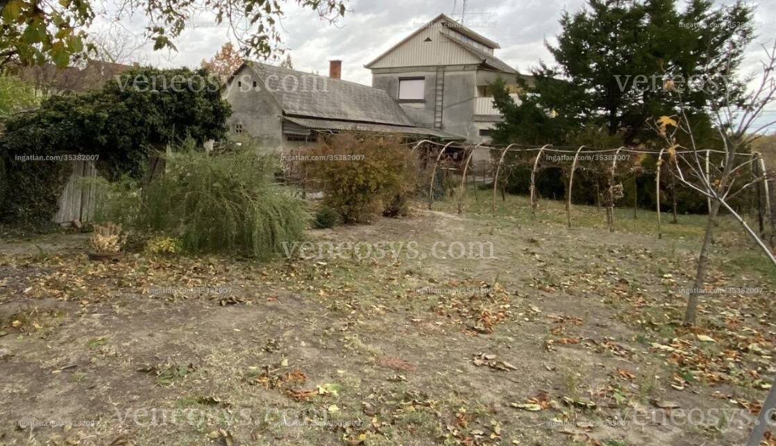 Kép 10