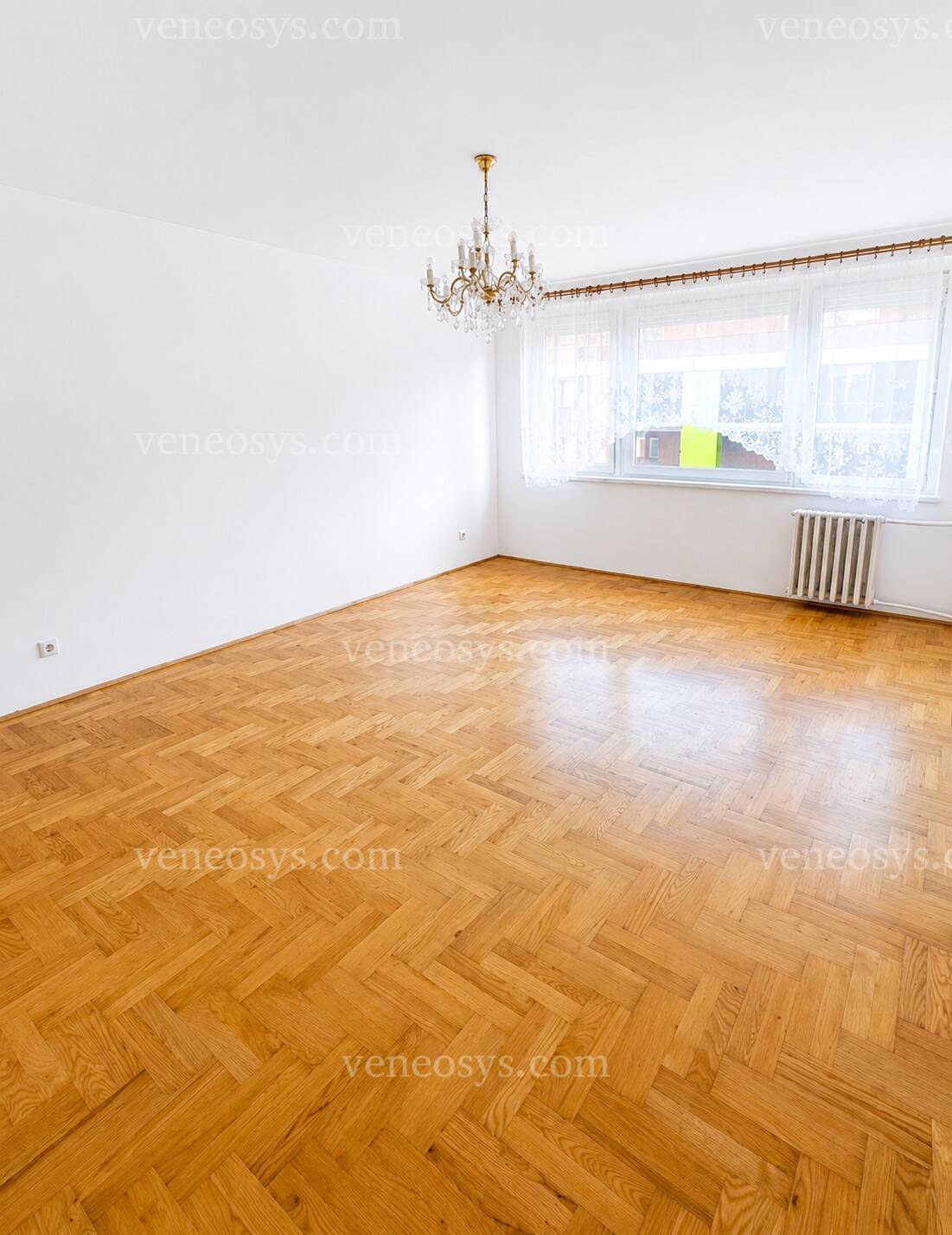 Kép 5