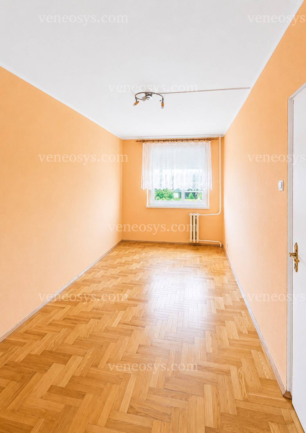 Kép 8