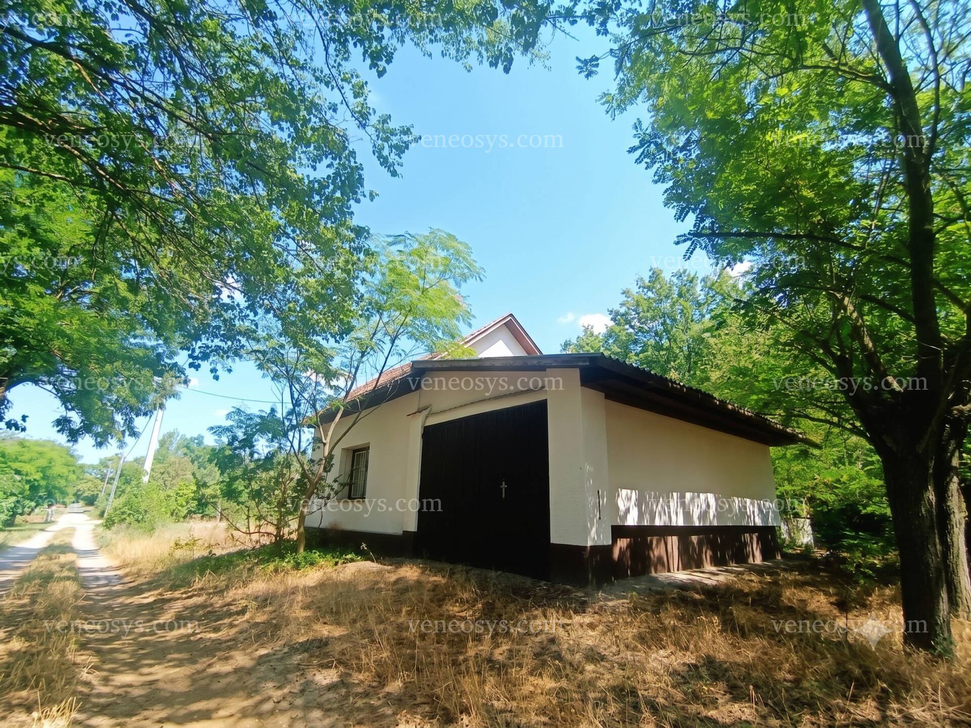 Kép 2