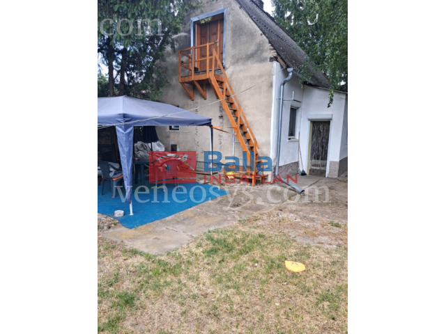 Kép 13