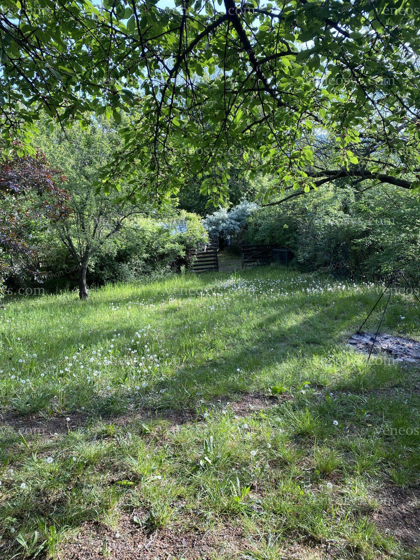 Kép 5
