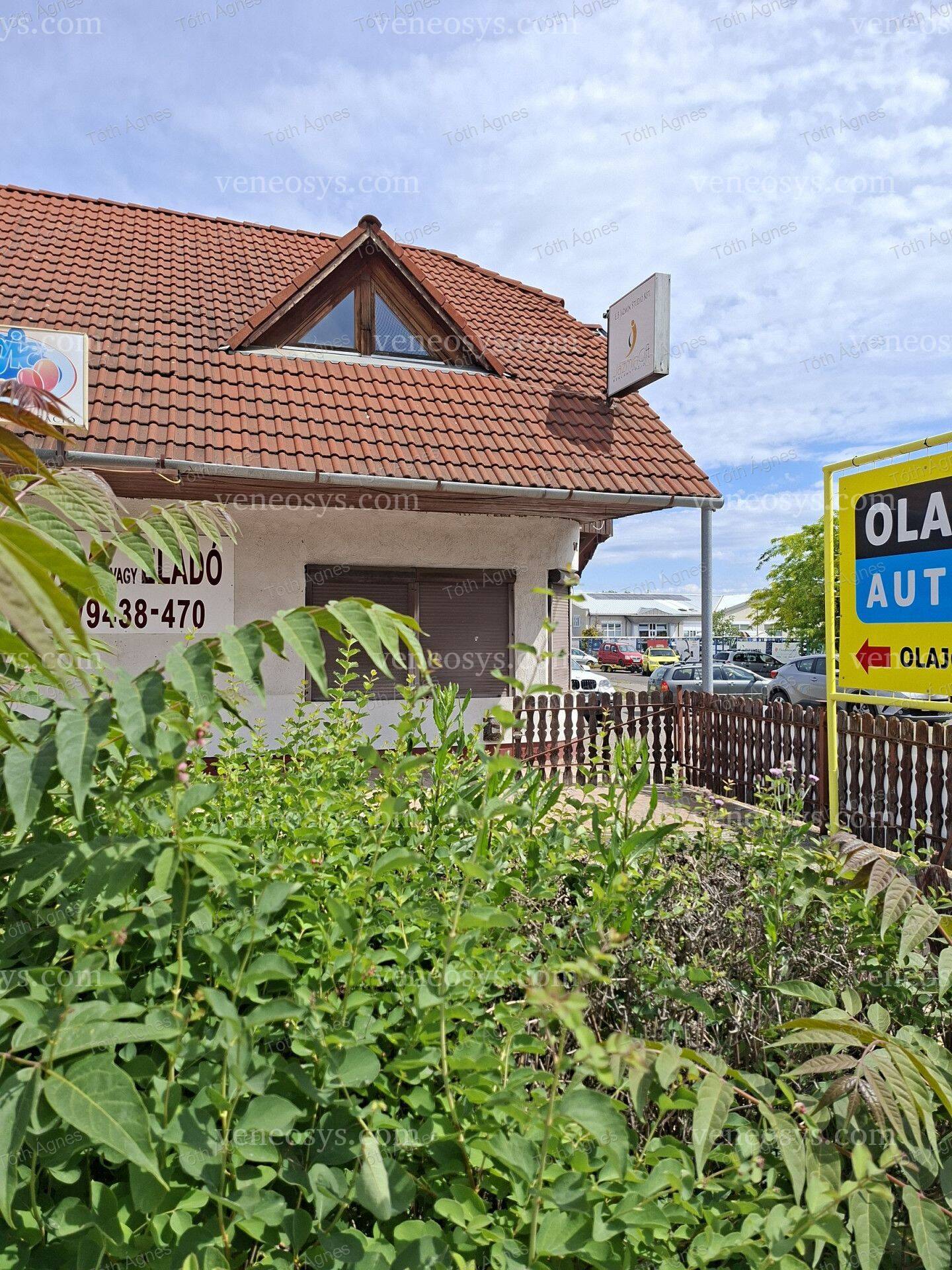 Kép 3