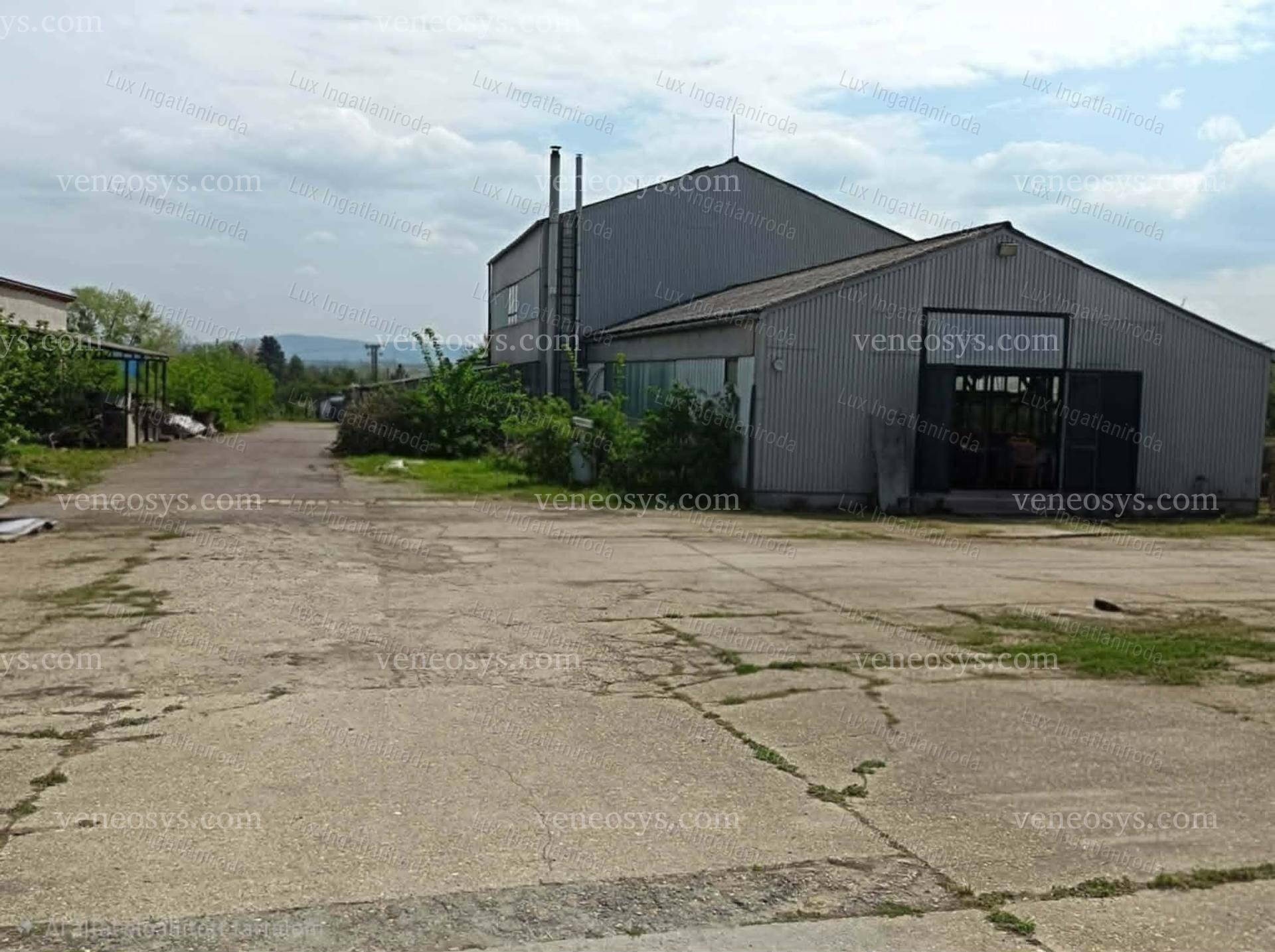 Kép 5