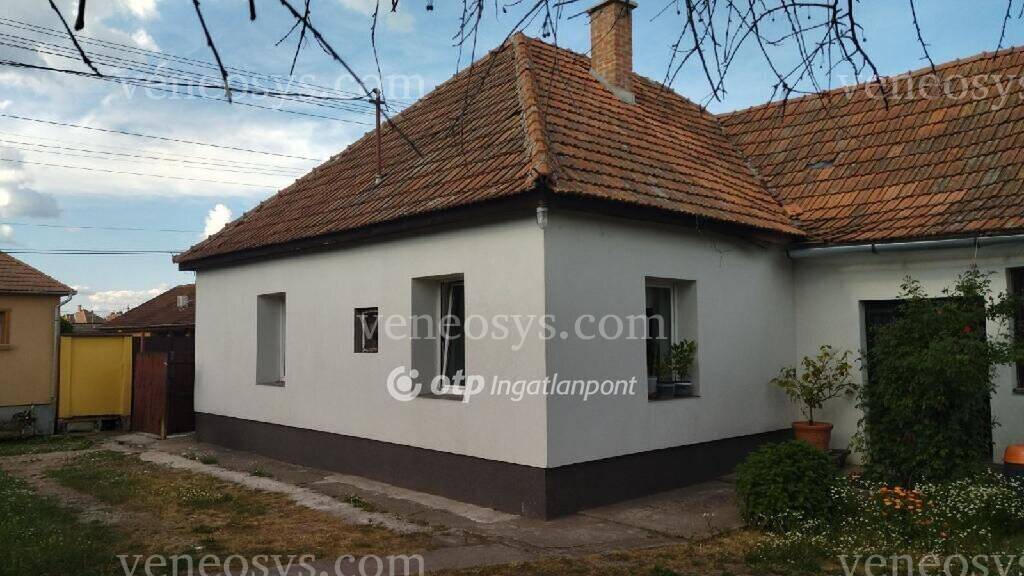 Kép 1