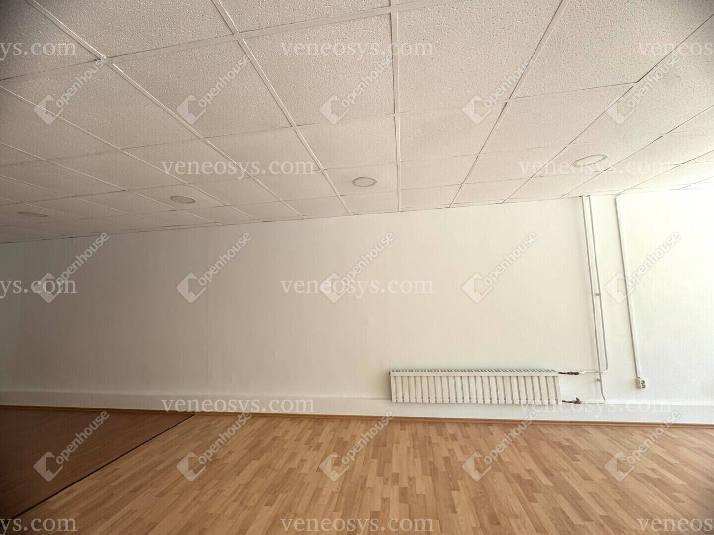 Kép 15