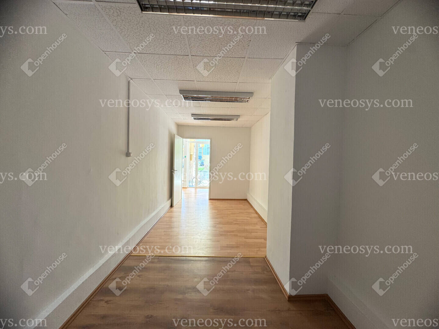 Kép 3