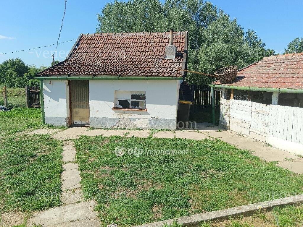 Kép 6