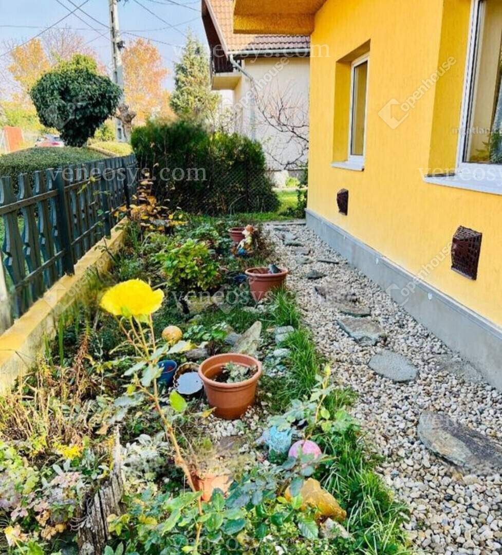 Kép 5
