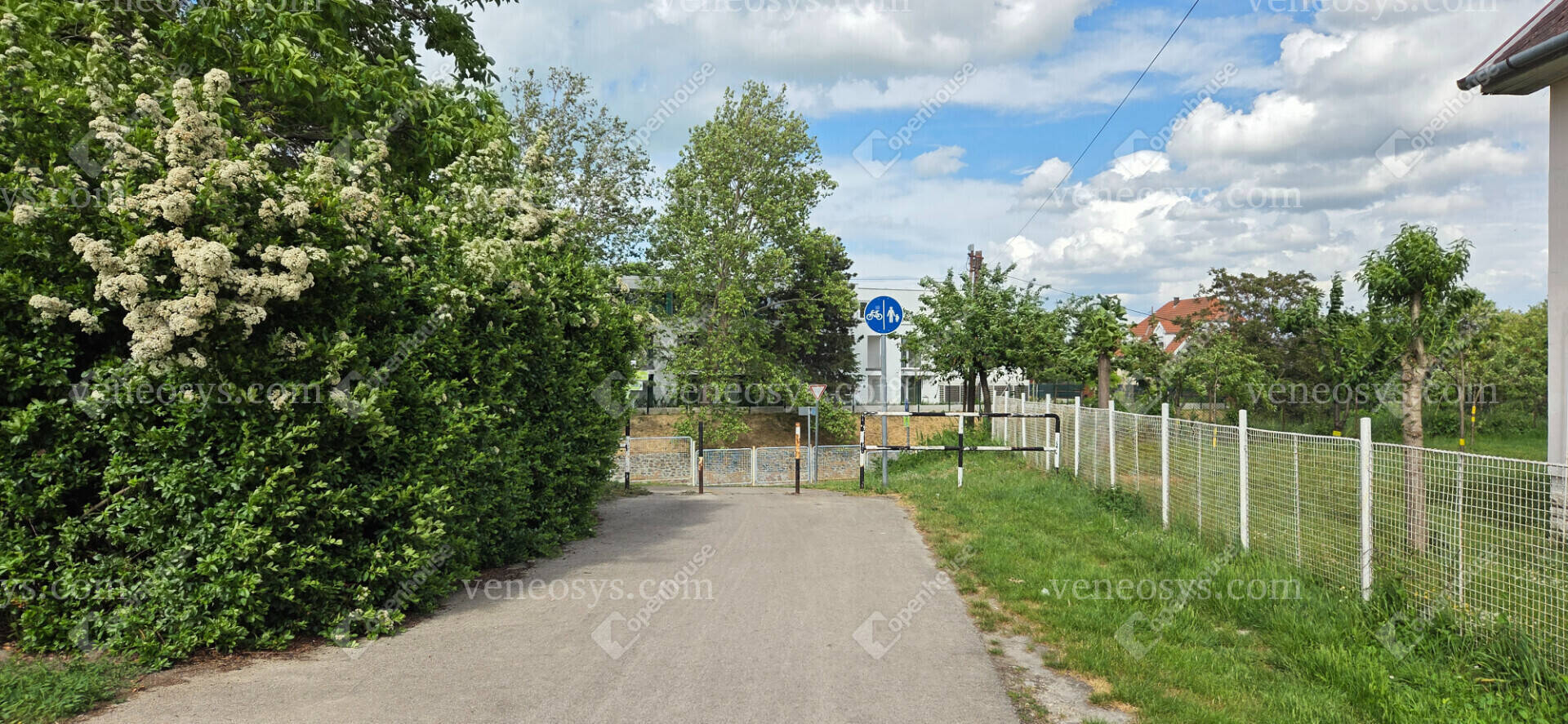 Kép 29