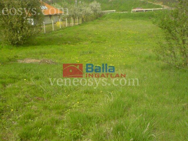 Ingatlan