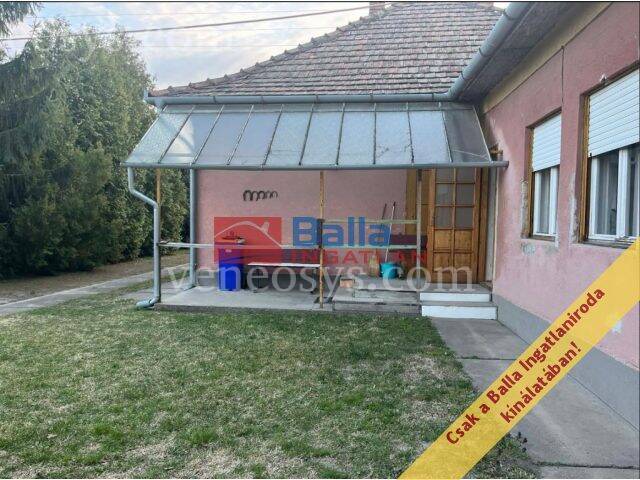 Kép 4