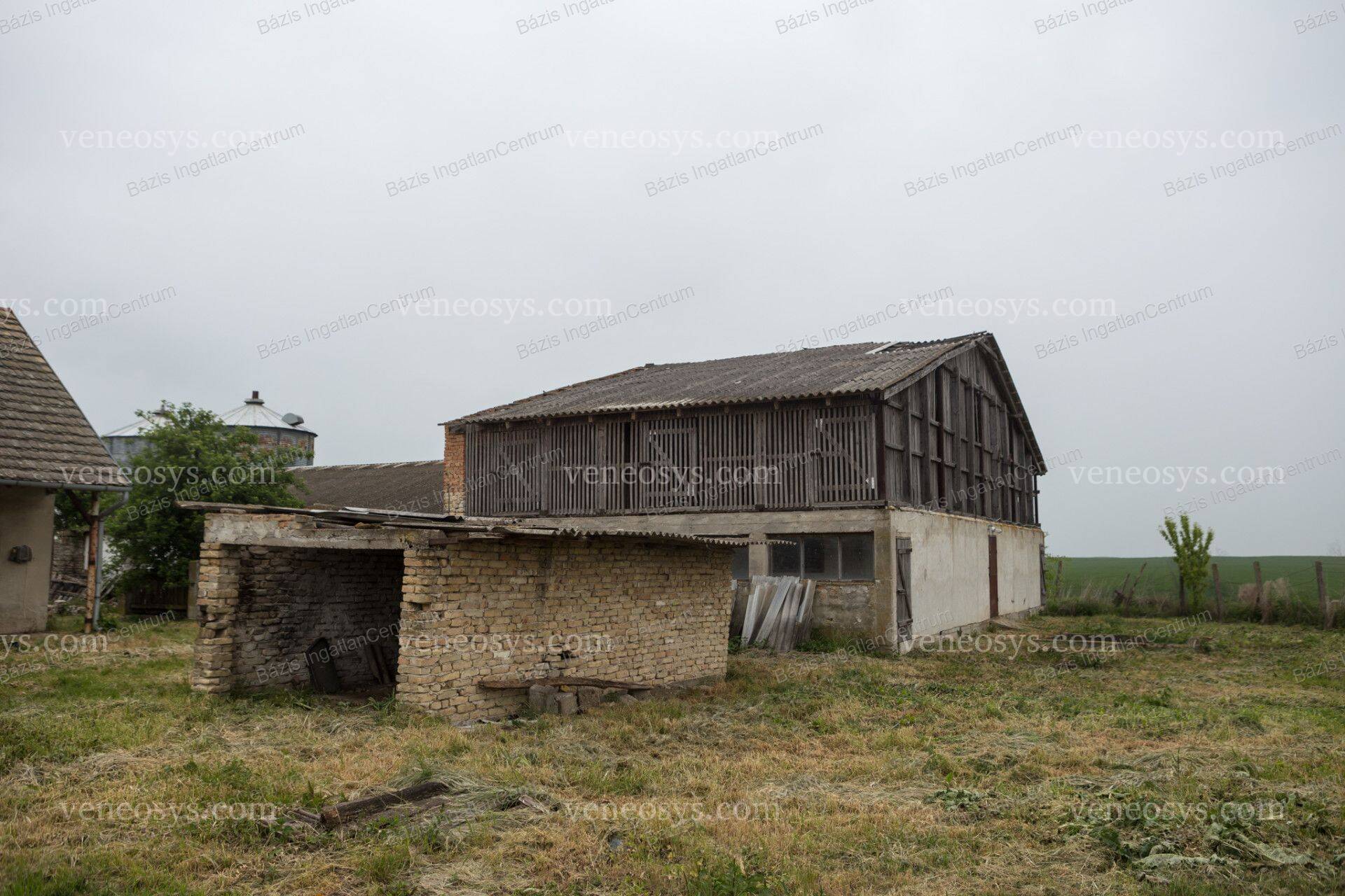 Kép 7