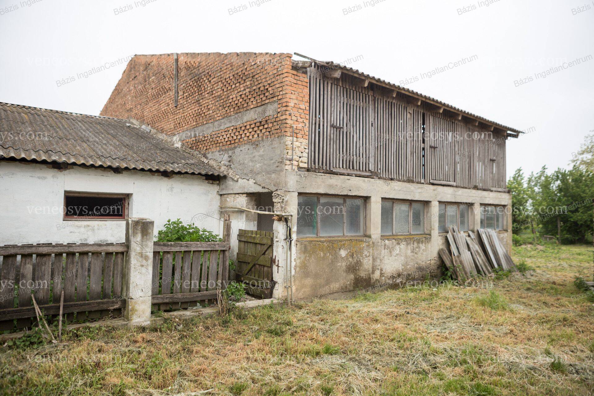 Kép 10