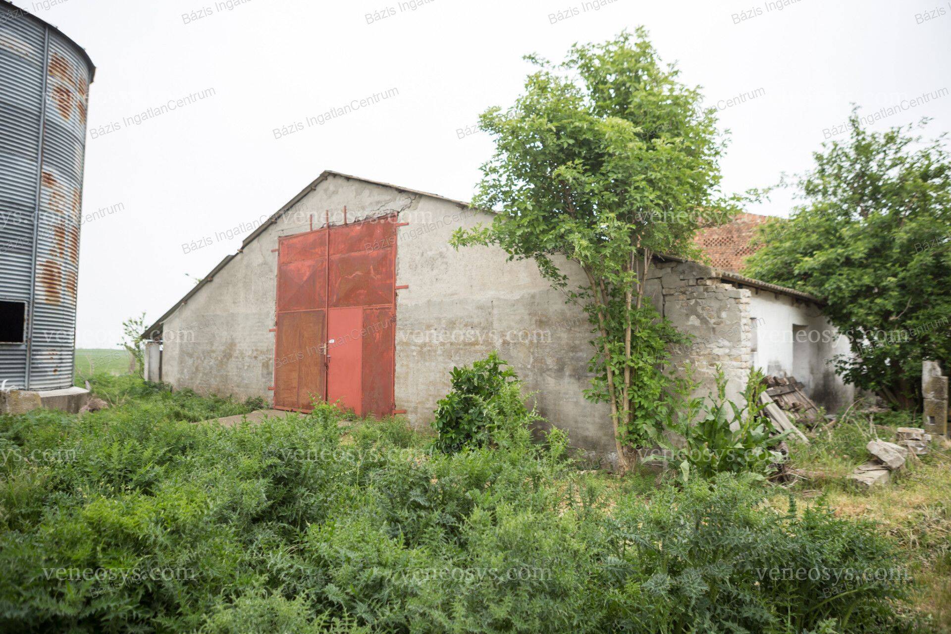 Kép 13