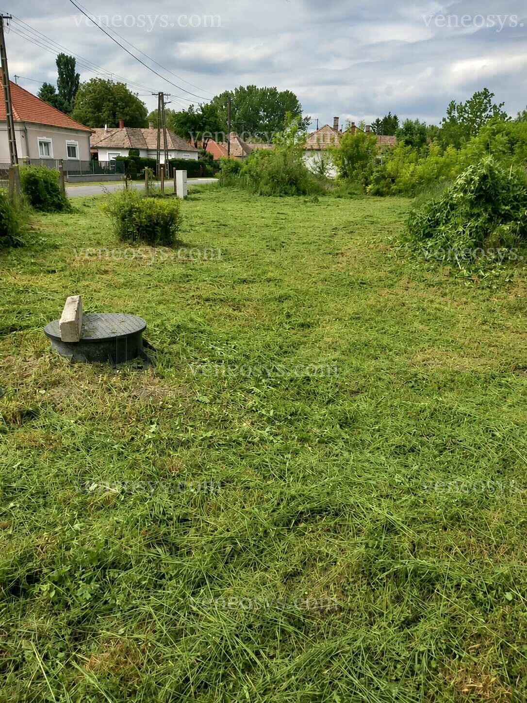 Kép 1