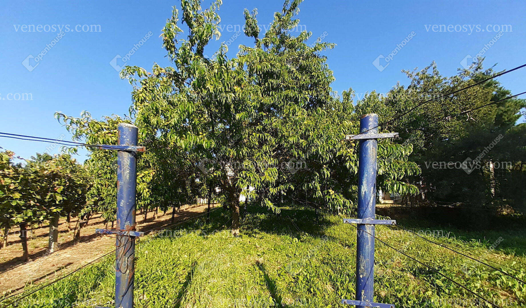 Kép 21