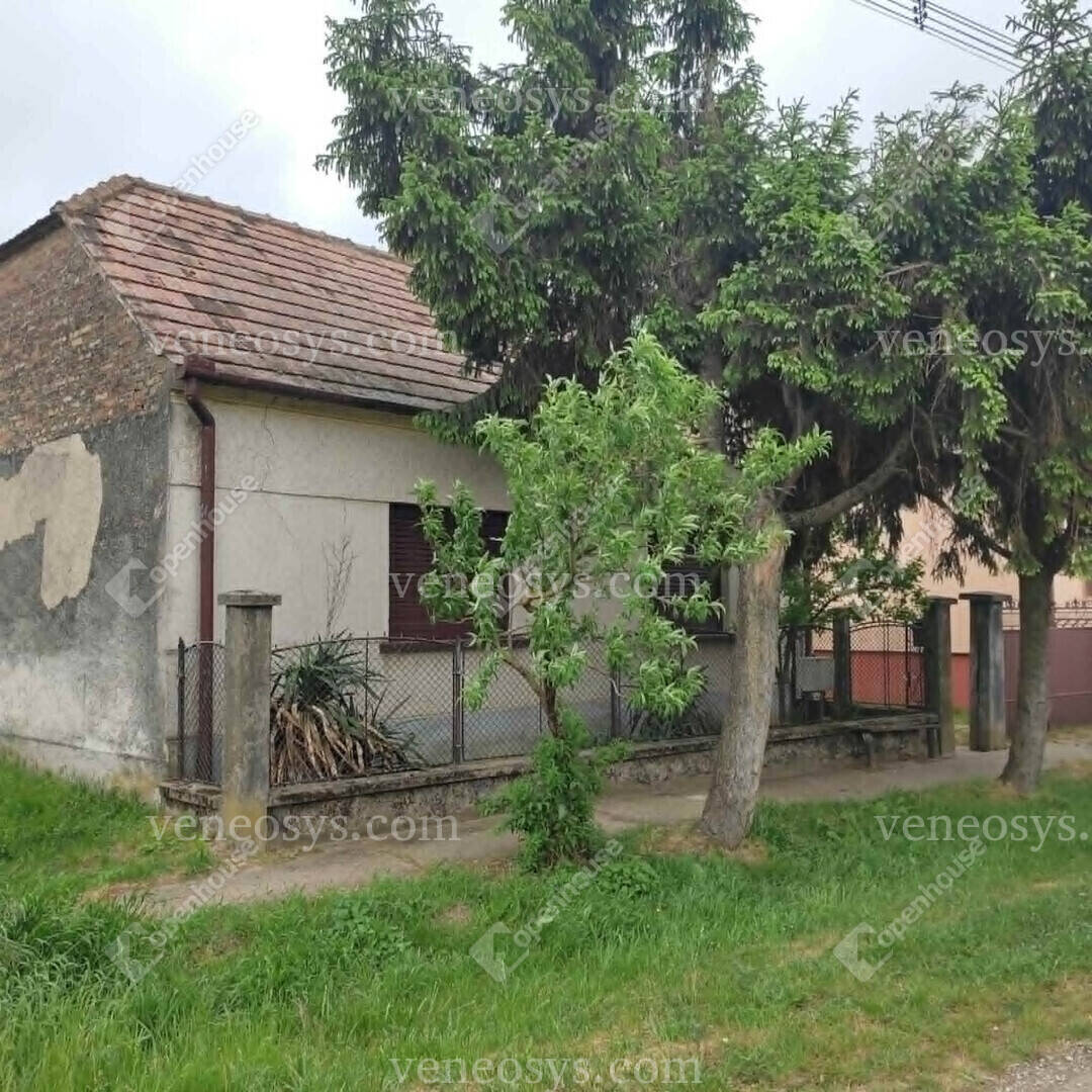 Kép 14