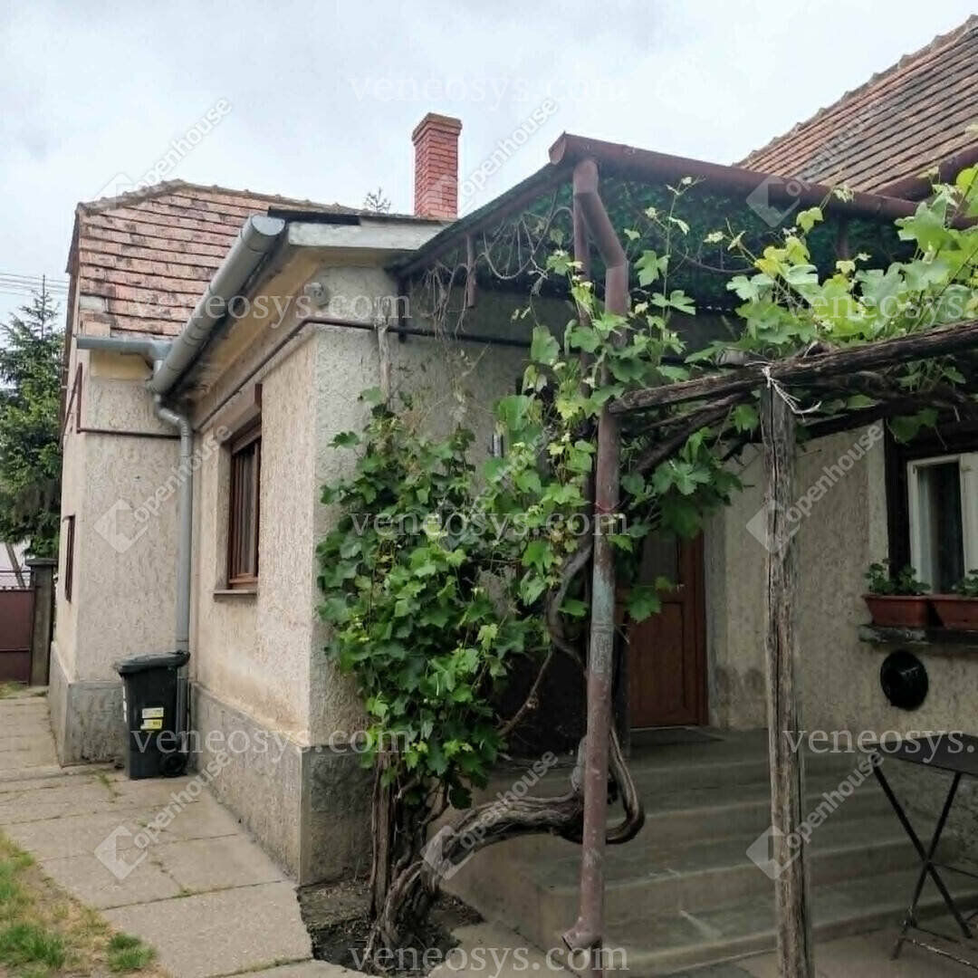 Kép 17