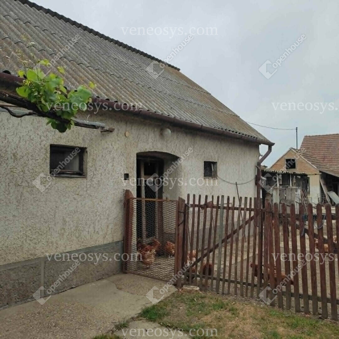 Kép 15