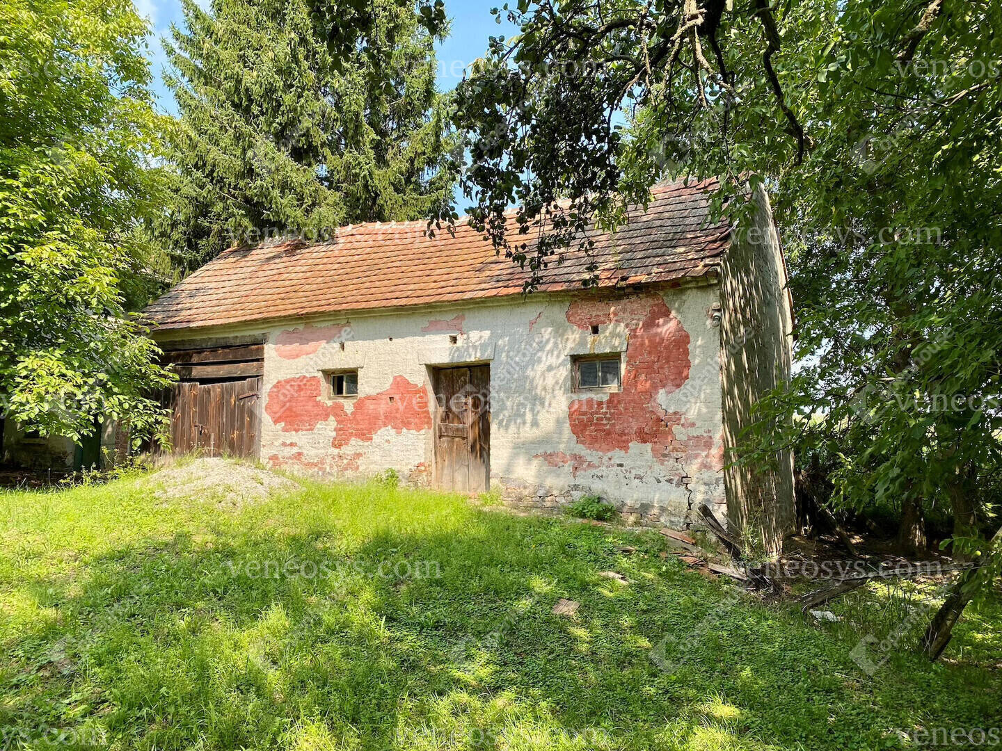 Kép 10