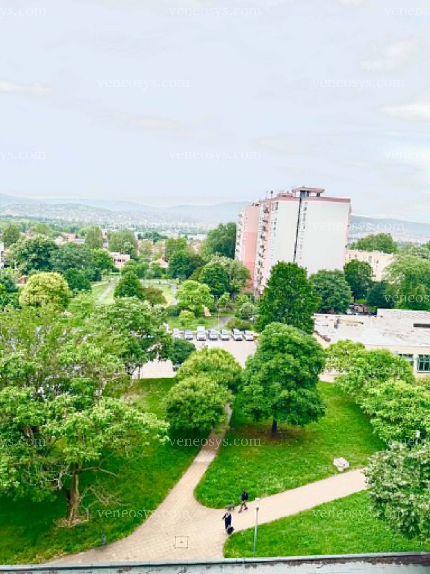 Kép 6