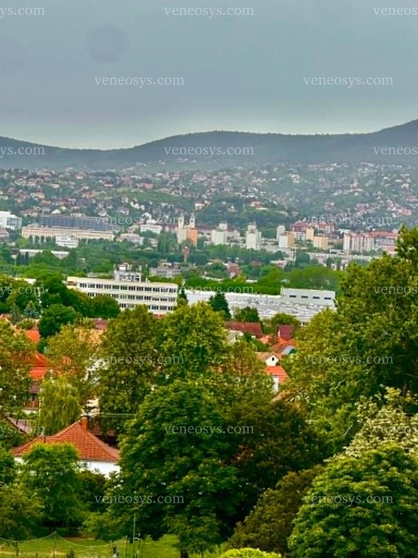 Kép 8