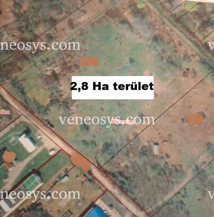 Kép 1