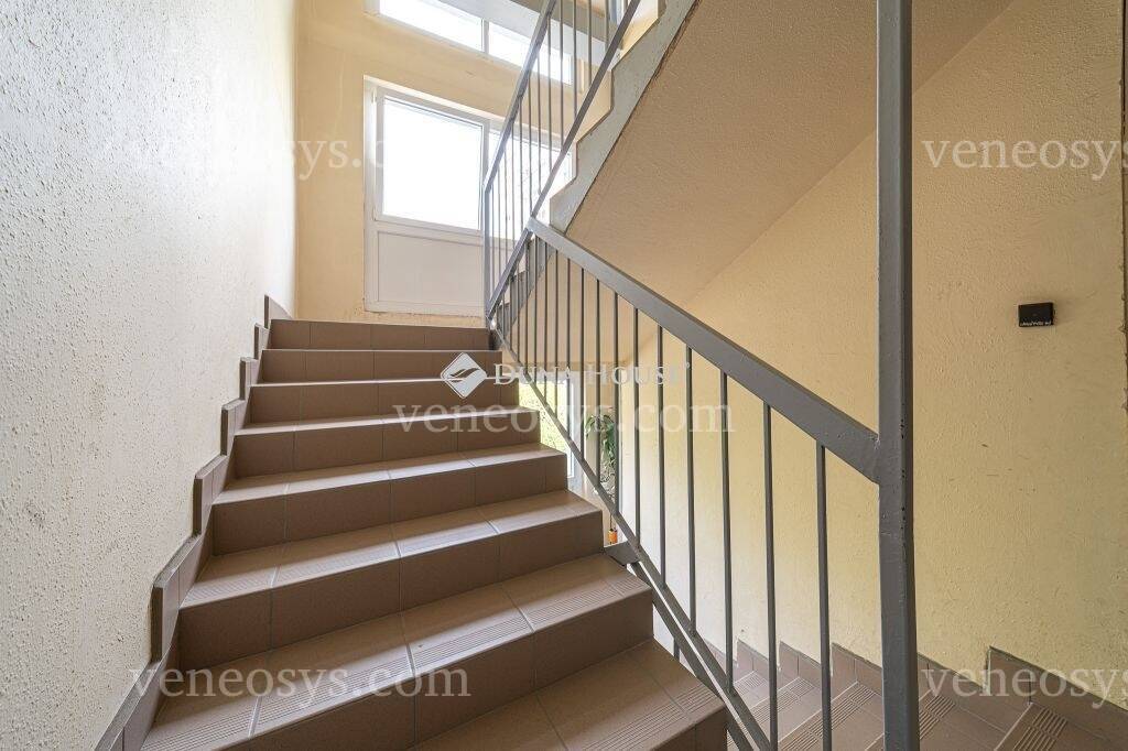 Kép 10