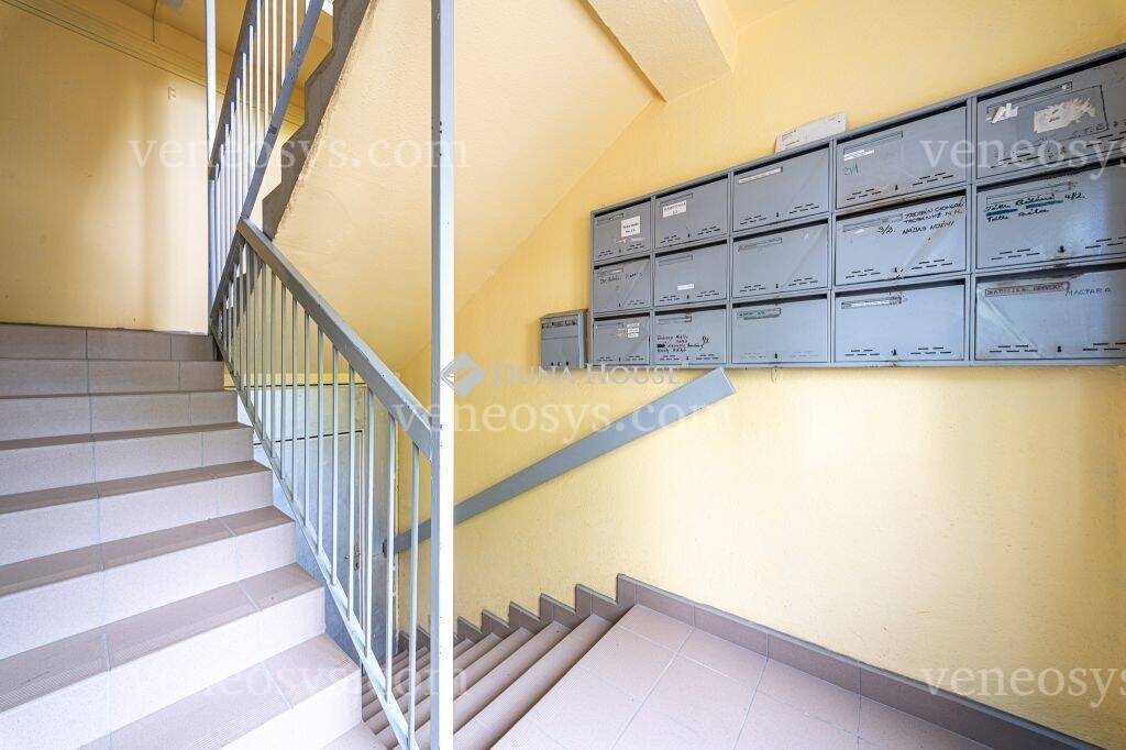 Kép 7