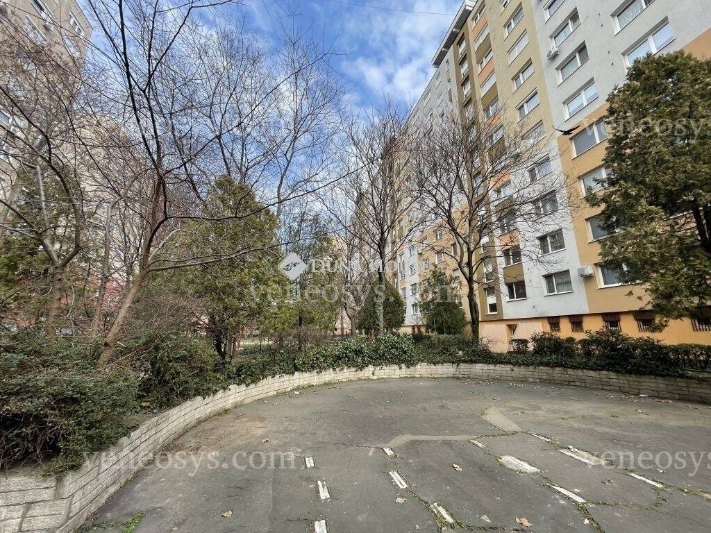 Kép 10