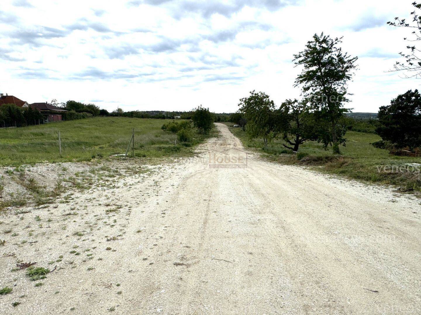 Kép 5