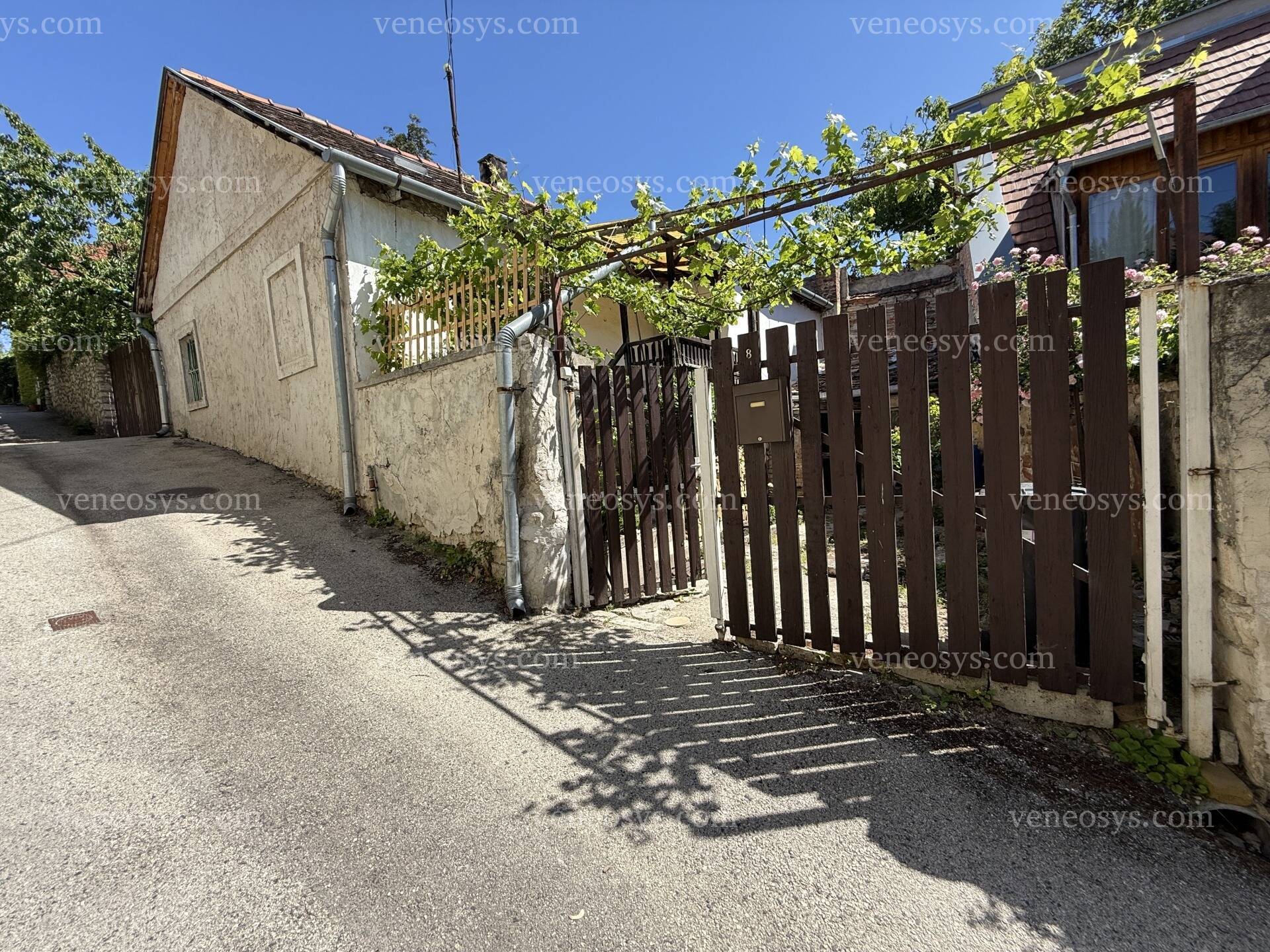 Kép 10