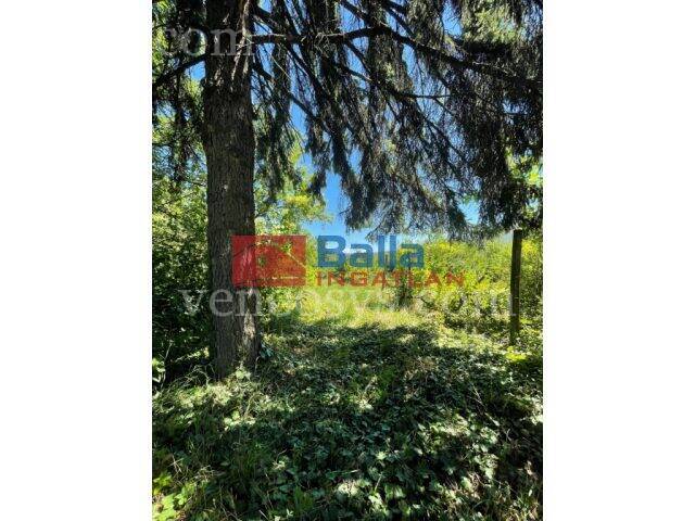 Kép 16