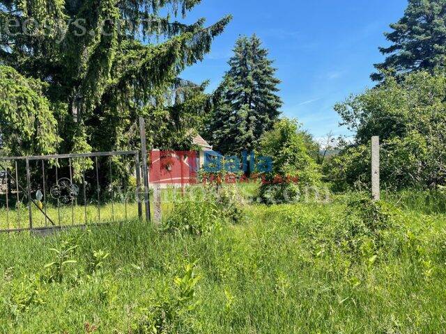 Kép 13