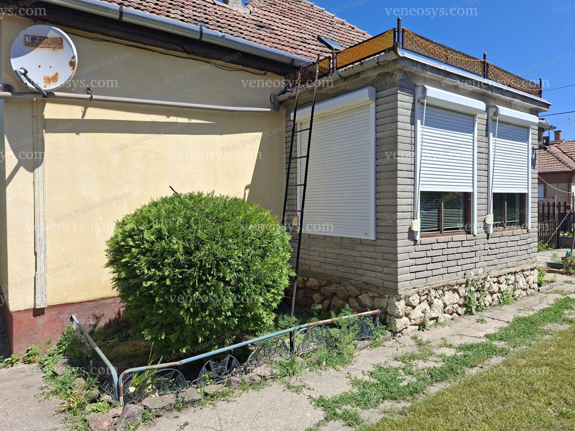 Kép 23