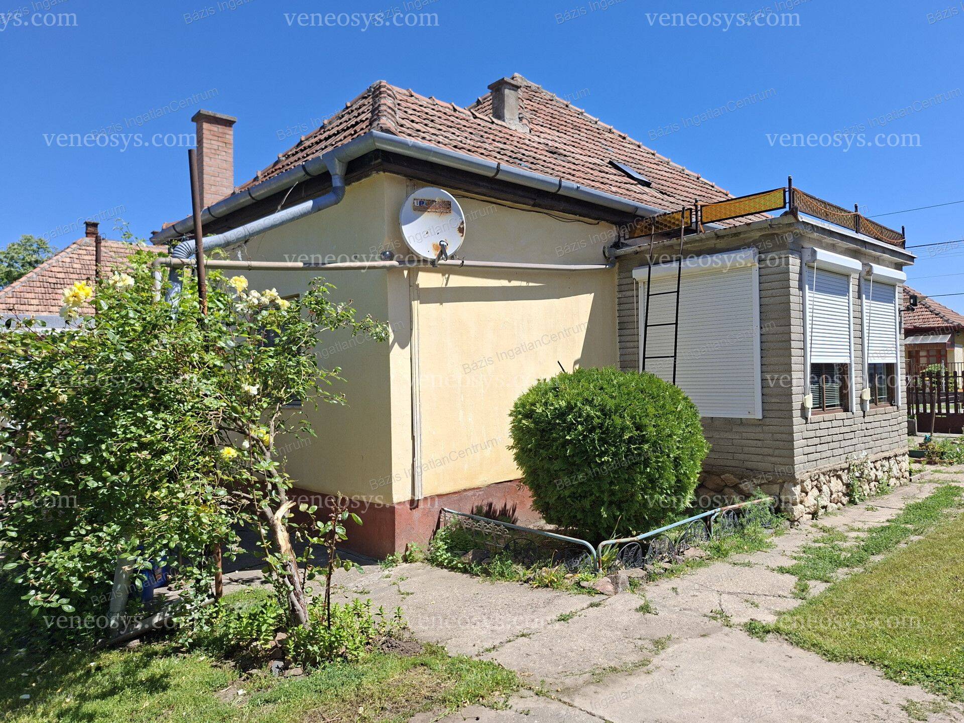 Kép 4