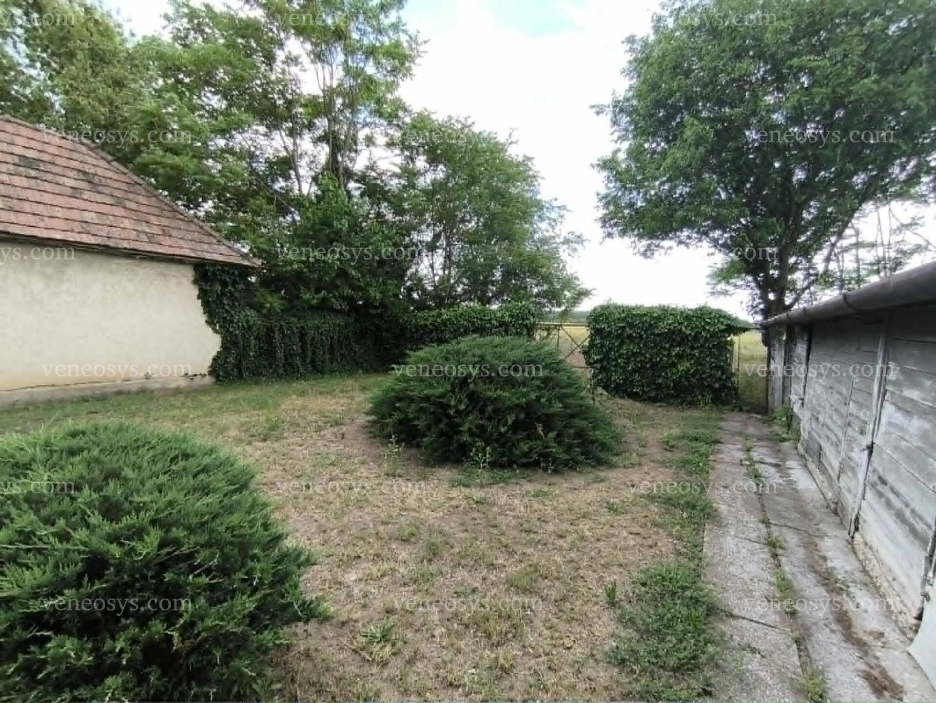 Kép 24