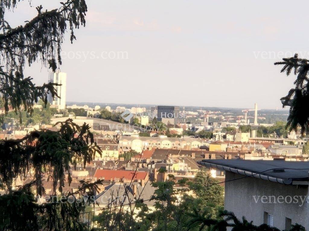 Kép 1
