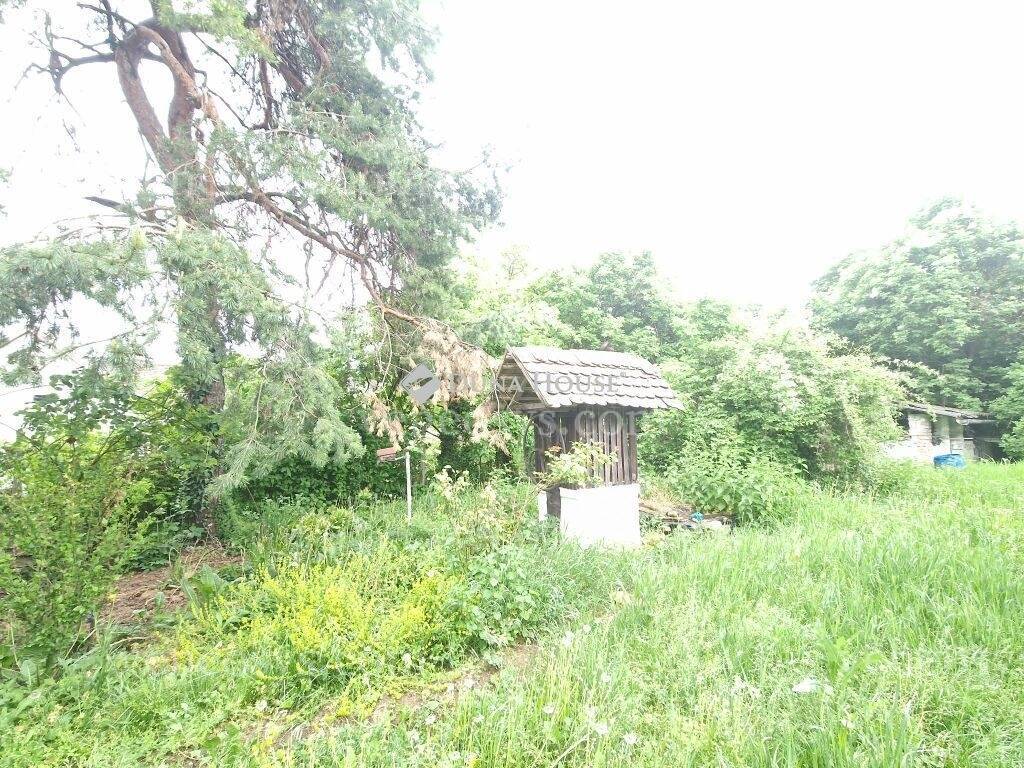 Kép 14